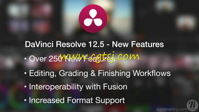 达芬奇DaVinci Resolve V12.5新功能训练视频教程的图片4