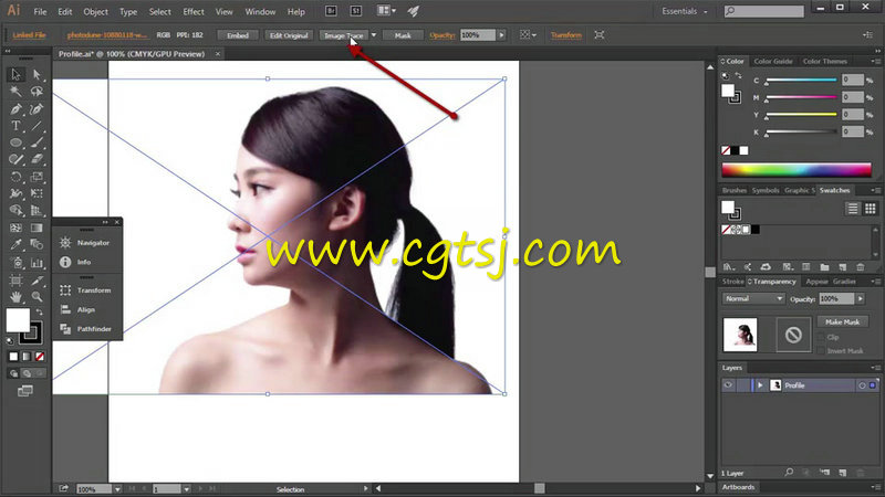 Illustrator矢量剪影技术基础训练视频教程的图片1