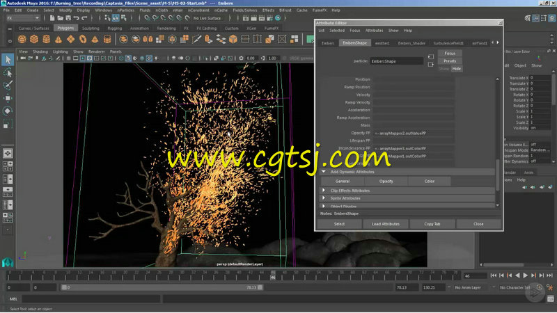 Maya树木燃烧流体与粒子特效视频教程的图片3