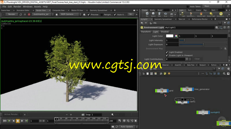 Houdini树木植物实例制作视频教程的图片2