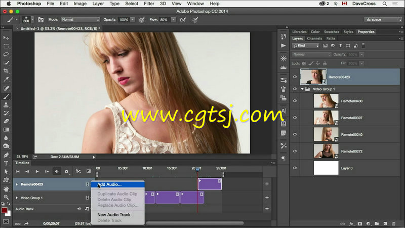 PS图像修饰与视频编辑训练视频教程的图片2