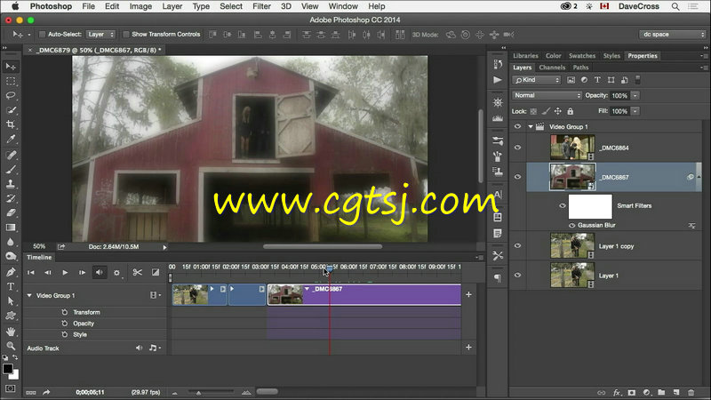 PS图像修饰与视频编辑训练视频教程的图片4