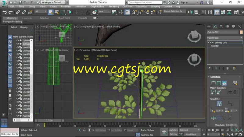 3dsmax树木植物实例制作视频教程的图片1