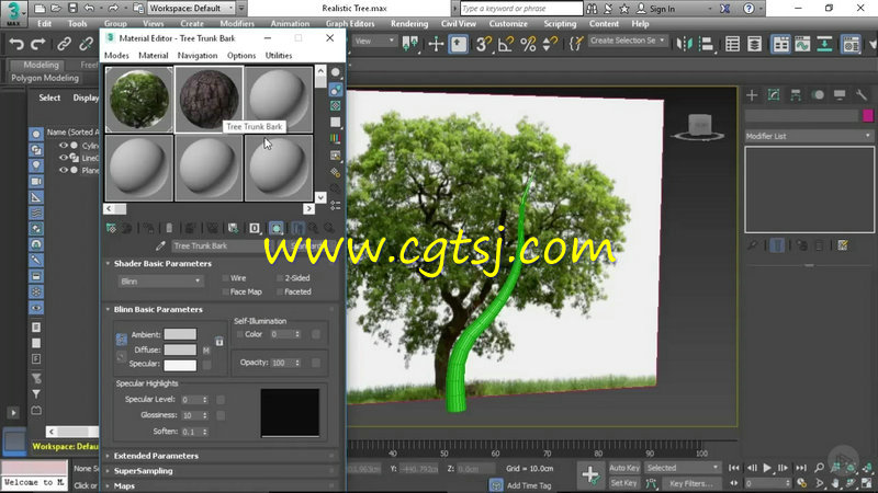3dsmax树木植物实例制作视频教程的图片4