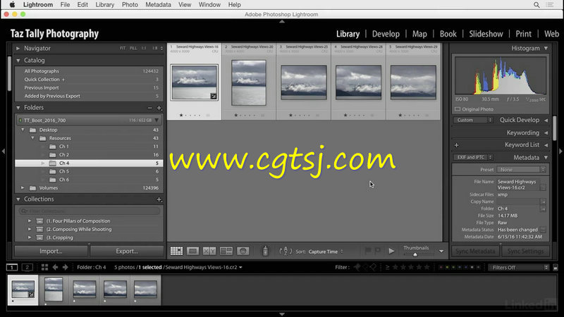 Lightroom简化图像处理工作流程技术训练视频教程的图片1