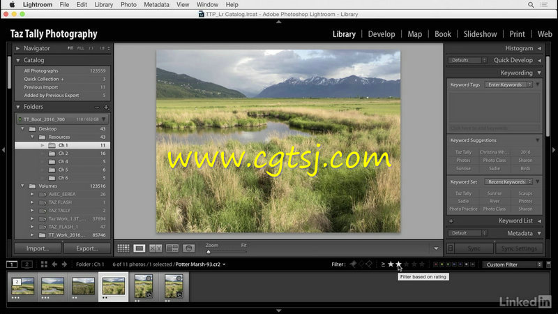 Lightroom简化图像处理工作流程技术训练视频教程的图片2