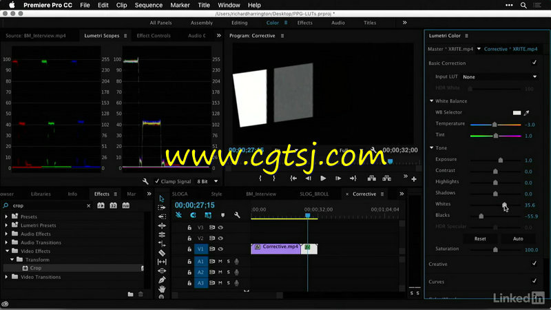 Premiere中GuruLUTs与Look专业调色预设高效使用技巧视频教程的图片1