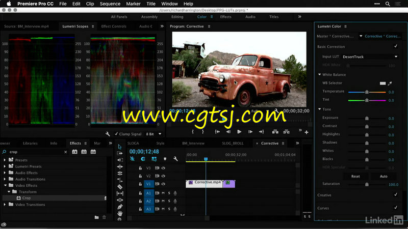 Premiere中GuruLUTs与Look专业调色预设高效使用技巧视频教程的图片2