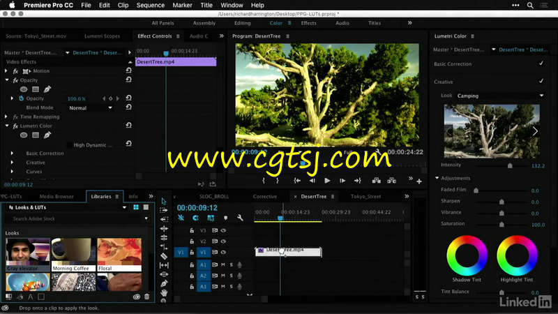 Premiere中GuruLUTs与Look专业调色预设高效使用技巧视频教程的图片3