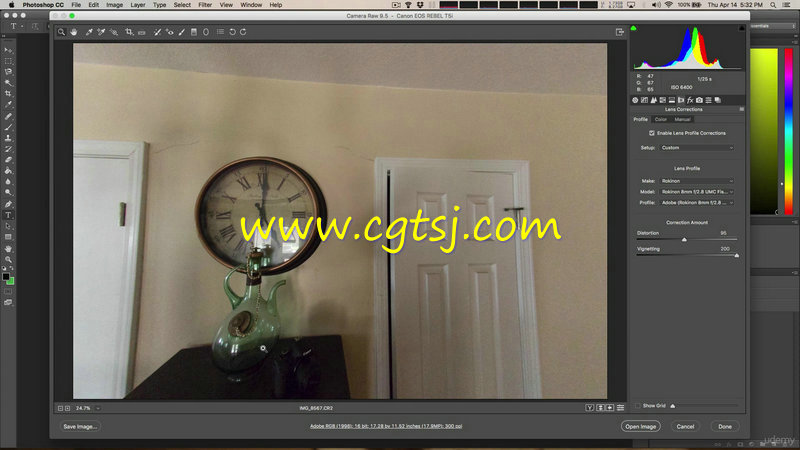 PS中Camera Raw调色插件实例训练视频教程的图片2