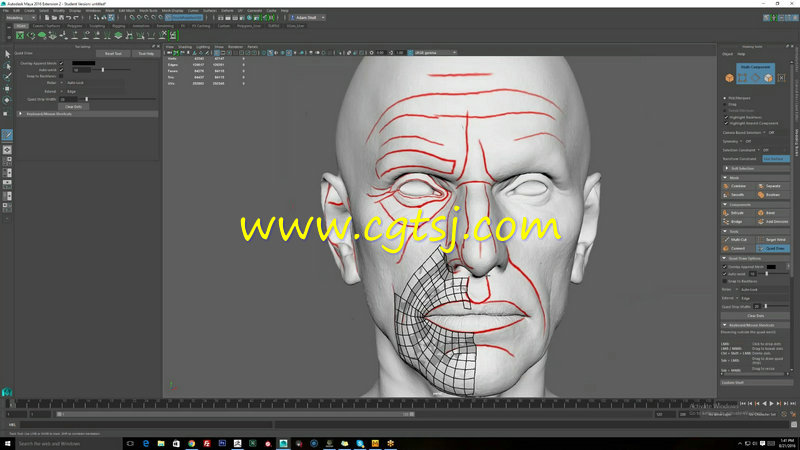 ZBrush逼真游戏人物角色实例制作视频教程第二季的图片3