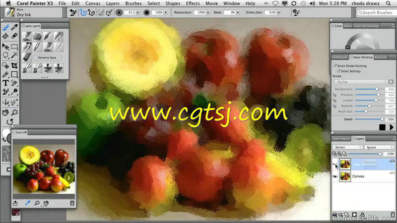 Corel Painter X3创意艺术绘画基础训练视频教程的图片3
