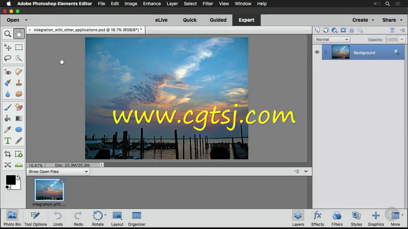 Photoshop Elements 2016图像处理基础核心训练视频教程的图片2