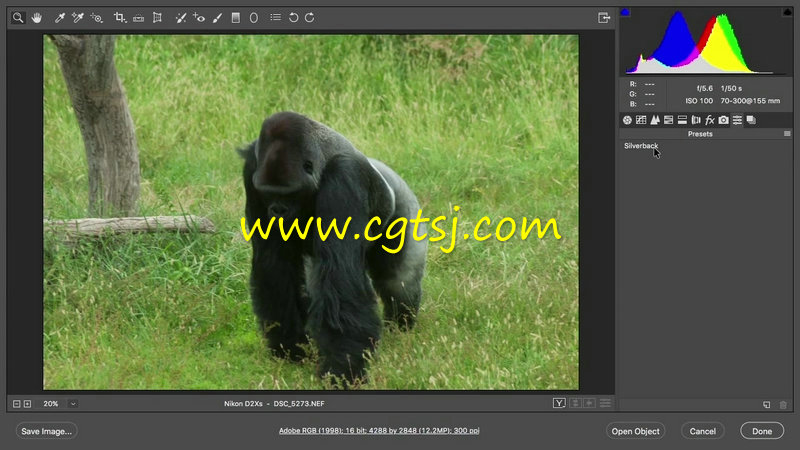 PS中Camera Raw插件图像修饰实例训练视频教程的图片4