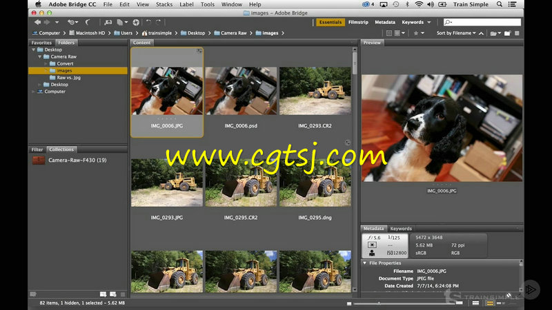 PS CC中摄影师工具Camera Raw图像修饰训练视频教程的图片4