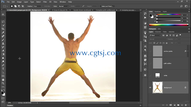 Adobe平面软件画笔工具精通训练视频教程的图片2
