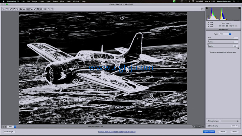 航空飞机摄影后期处理实例训练视频教程的图片5