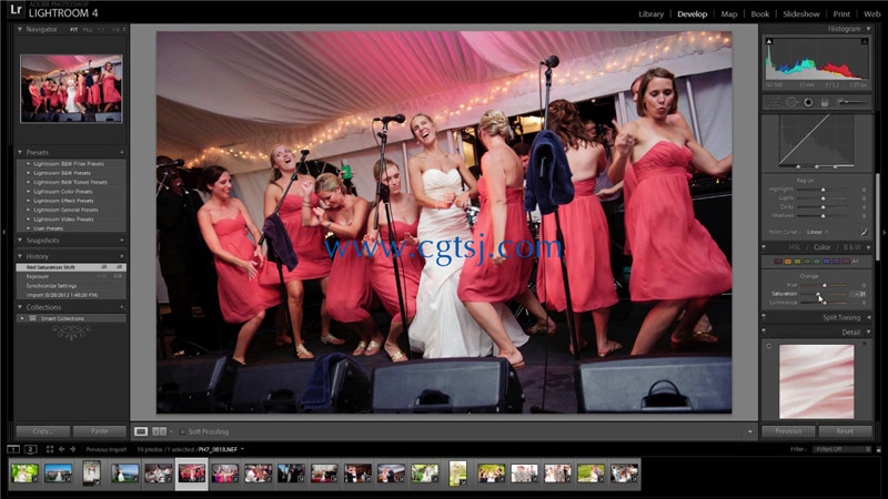 专业商业婚礼摄影师大师级培训视频教程的图片4