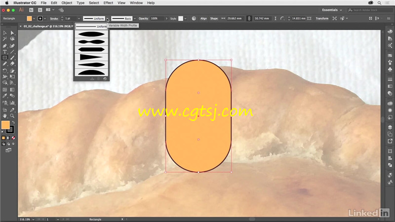 Illustrator信息图表实例制作视视频教程的图片4