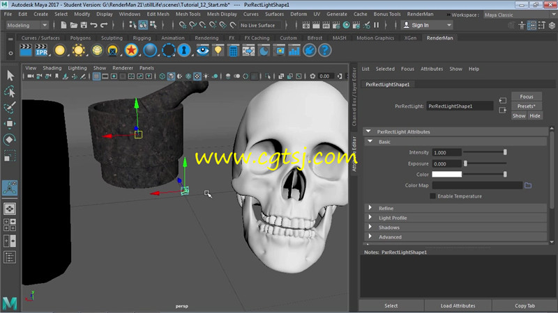 Maya中RenderMan渲染技术基础训练视频教程的图片1