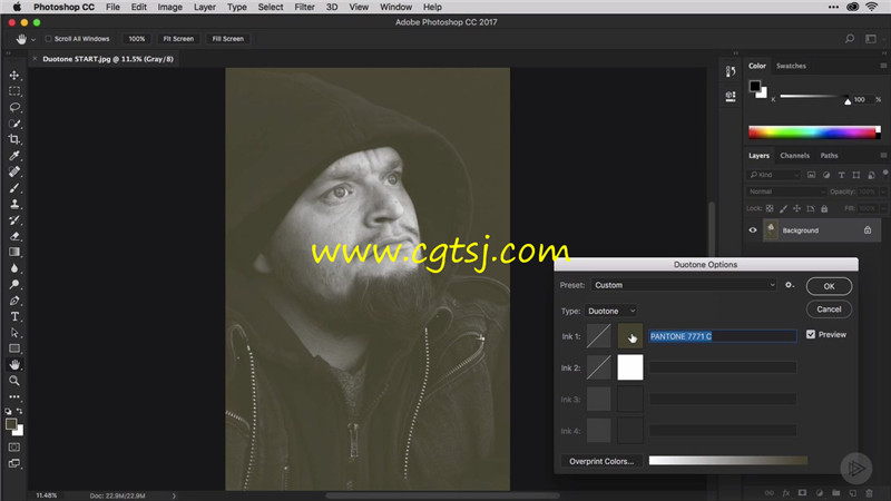 PS与InDesign中Duotone设计风格技术训练视频教程的图片2