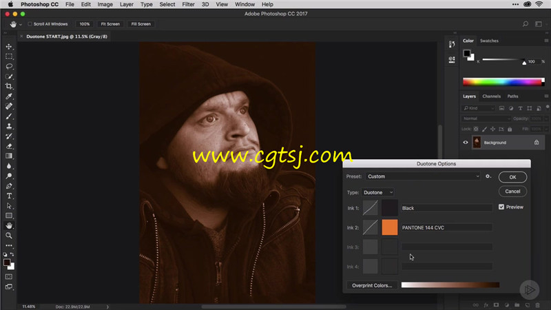 PS与InDesign中Duotone设计风格技术训练视频教程的图片4