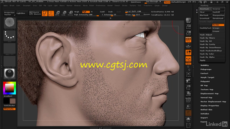 ZBrush中FiberMesh工具毛发制作实例训练视频教程的图片2