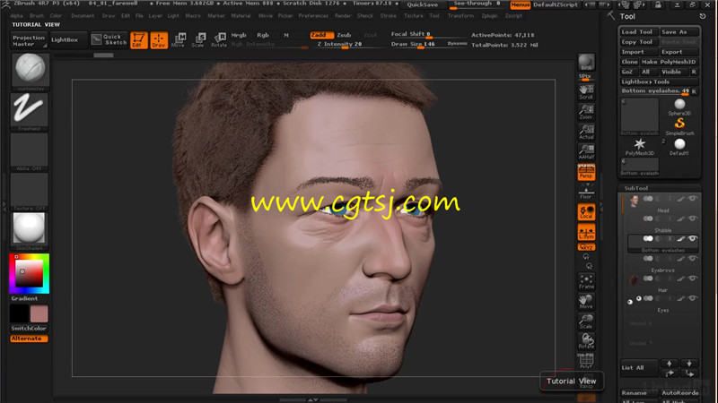 ZBrush中FiberMesh工具毛发制作实例训练视频教程的图片3