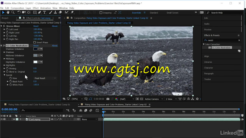 Premiere视频曝光修复技术视频教程的图片3