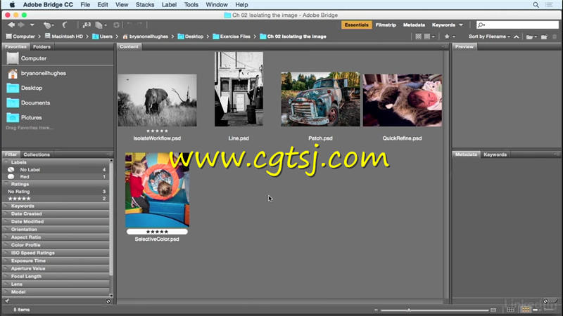 PS核心要点技术综合训练视频教程的图片3
