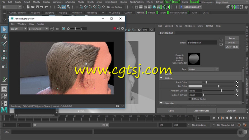 Arnold高质量渲染基础训练视频教程的图片4