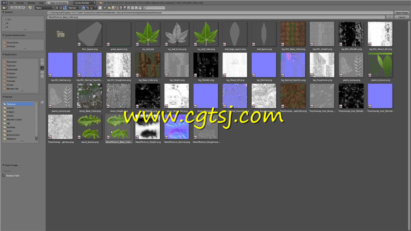 Blender各类植物实例制作训练视频教程的图片3
