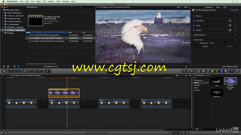 Final Cut Pro X混合特效技术视频教程的图片1