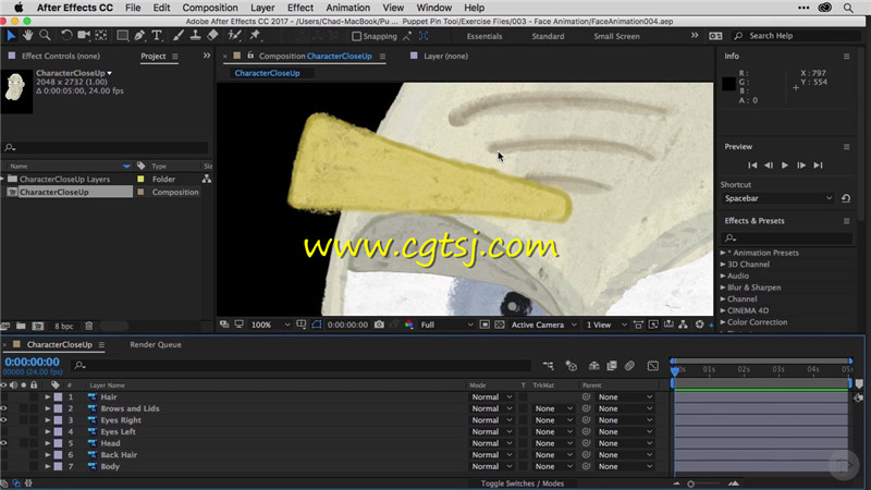 AE木偶动画工具使用技术视频教程的图片2