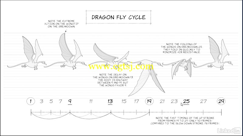 飞行动物动作动画解析视频教程的图片1