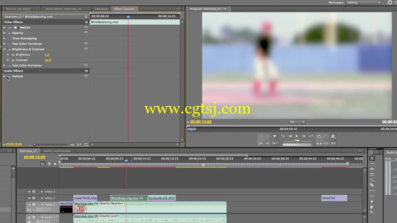 Premiere专业视频编辑完整训练视频教程的图片1