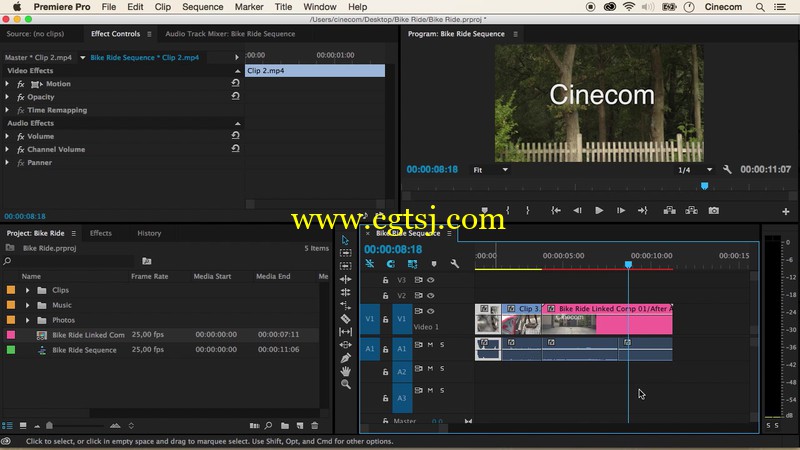 Premiere Pro CC视频编辑基础技能训练视频教程的图片2