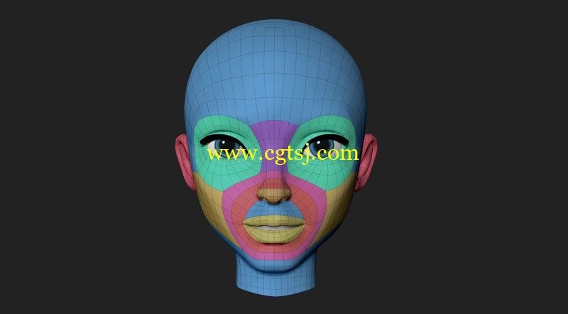 Zbrush头部重塑技术训练视频教程的图片1