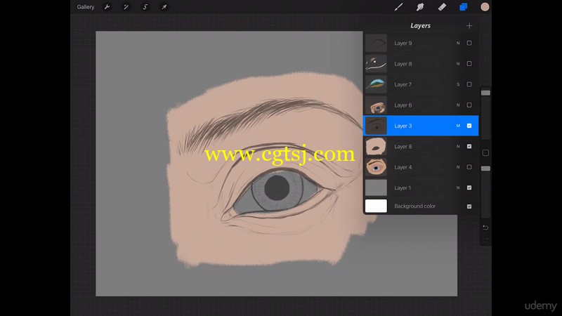 眼睛实例数字绘画艺术训练视频教程的图片2