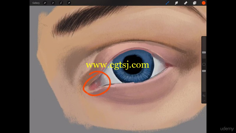 眼睛实例数字绘画艺术训练视频教程的图片3