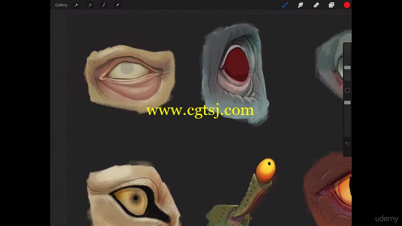 眼睛实例数字绘画艺术训练视频教程的图片5