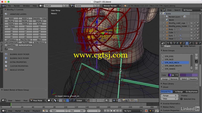 Blender中Rigging角色骨骼技术训练视频教程的图片1