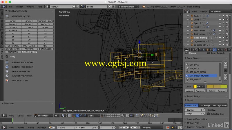 Blender中Rigging角色骨骼技术训练视频教程的图片3