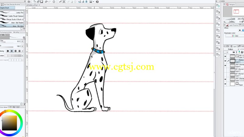 小狗数字绘画与上色实例训练视频教程的图片3