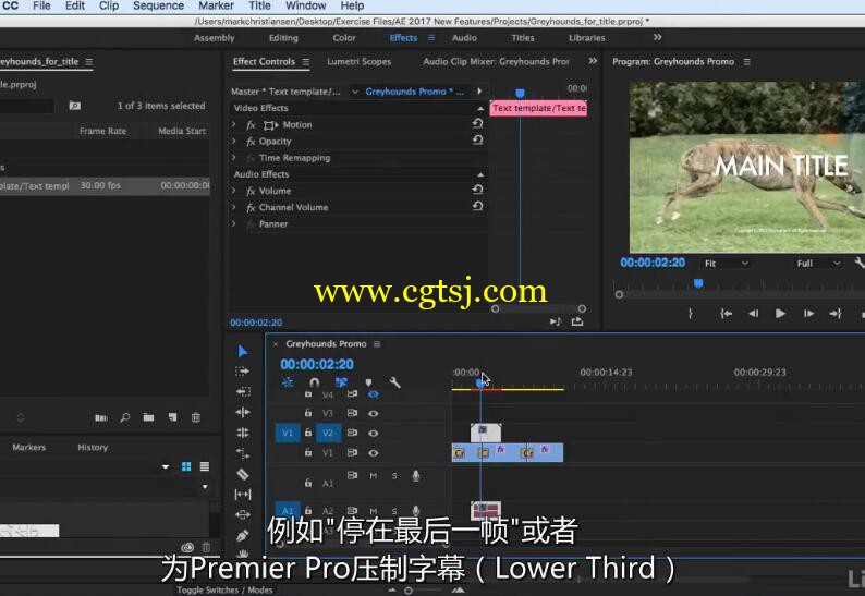 AE CC 2017新功能训练视频教程(中文字幕)的图片3