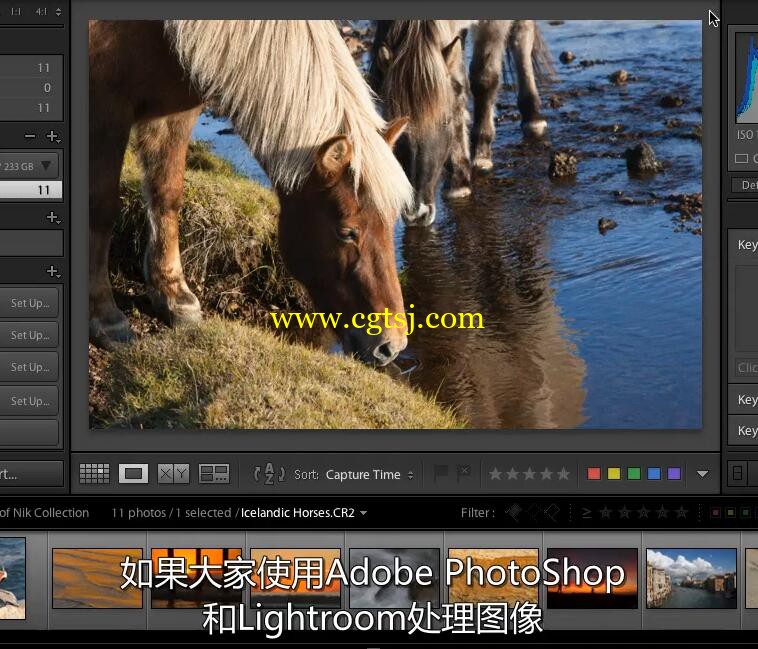 Nik摄影图像后期处理技术视频教程(中文字幕)的图片7