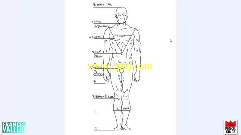 人体胳膊腿肌肉群绘画剖析视频教程的图片2
