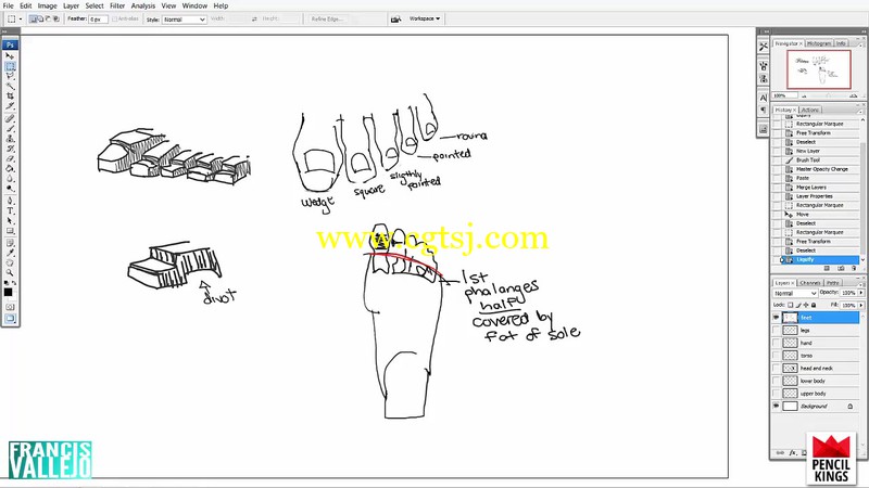 人体胳膊腿肌肉群绘画剖析视频教程的图片7
