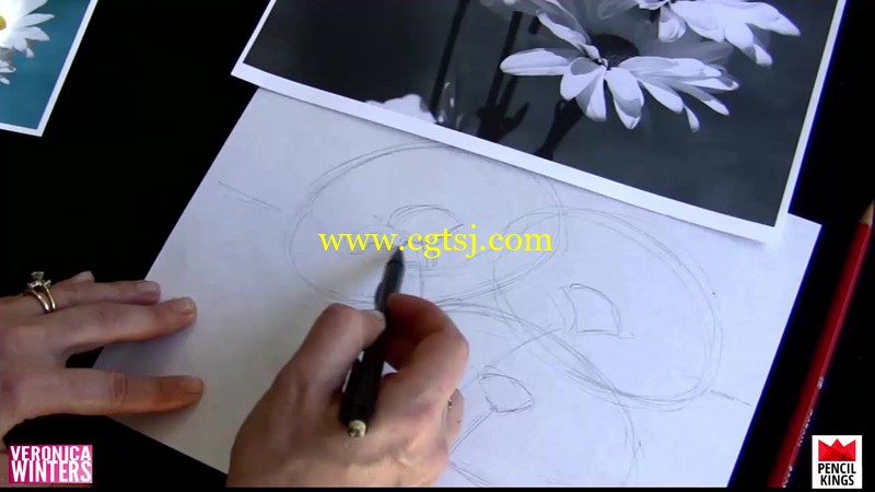 雏菊彩色铅笔绘画实例训练视频教程的图片1