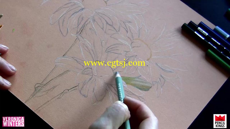 雏菊彩色铅笔绘画实例训练视频教程的图片2